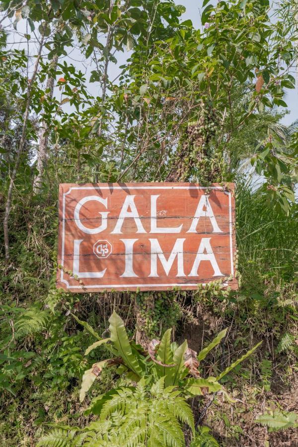 Galalima Glamping By Agata Ξενοδοχείο Meliling Εξωτερικό φωτογραφία